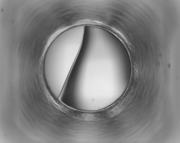 X0000087741371200705070916