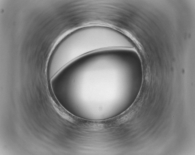X0000087741372200705070916