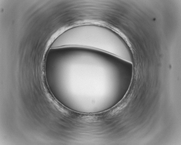 X0000087741373200705070916