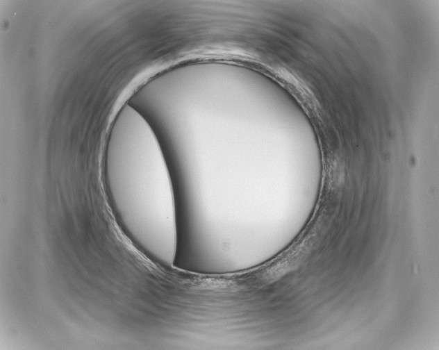 X0000087741374200705070916