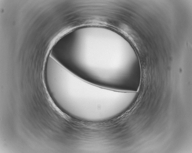 X0000087741379200705070916