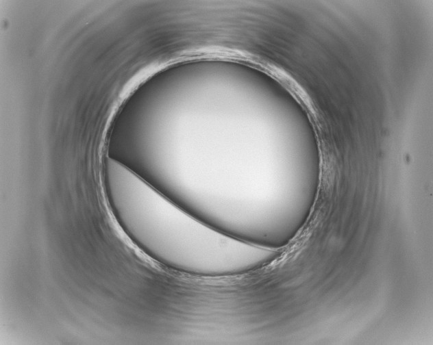 X0000087741381200705070916