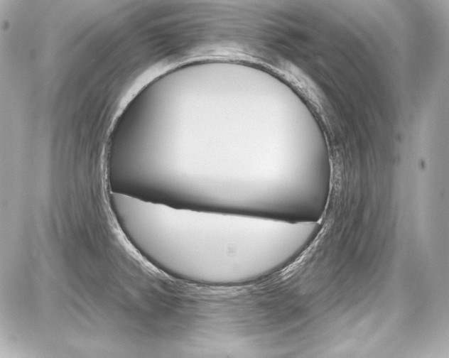 X0000087741382200705070916