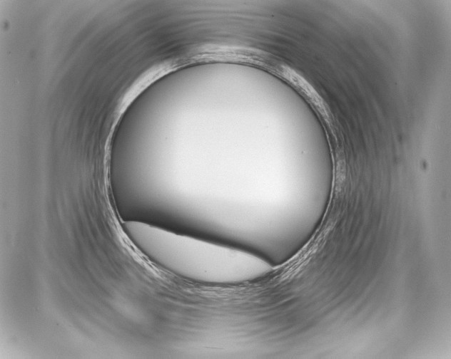 X0000087741386200705070915