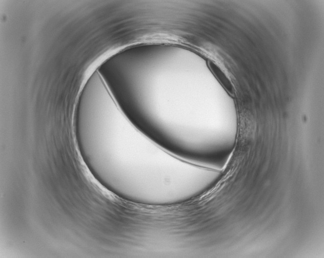 X0000087741387200705070915