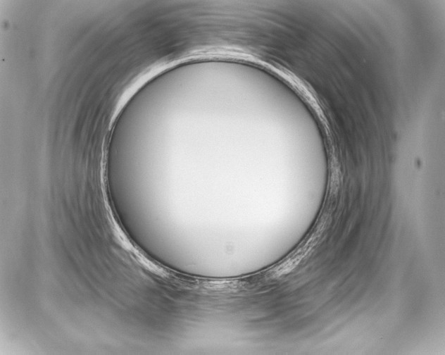 X0000087741390200705070915