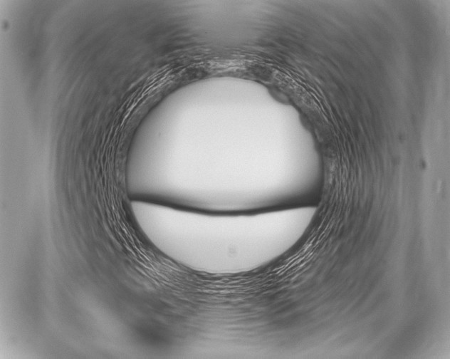 X0000087741393200705070915