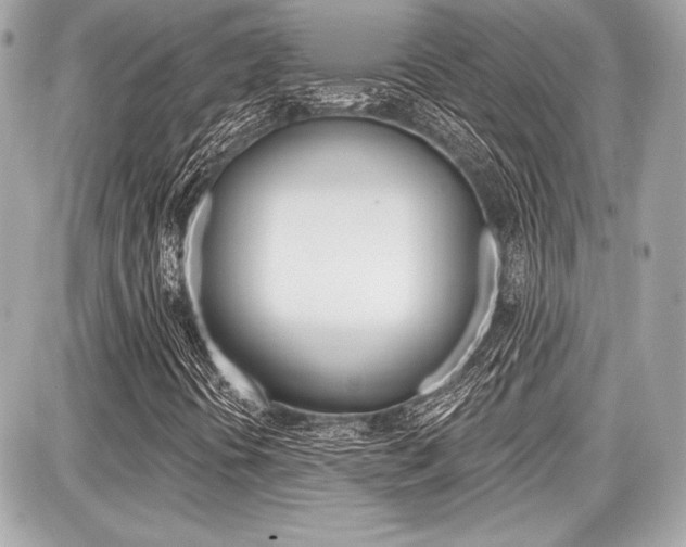 X0000087741394200705070915