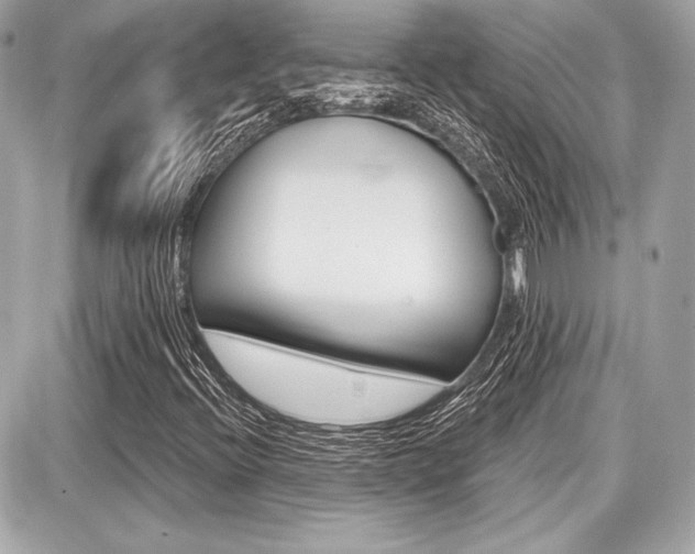 X0000087741396200705070915