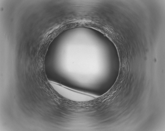 X0000087741398200705070915