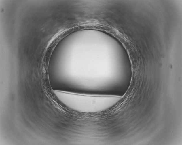X0000087741400200705070915
