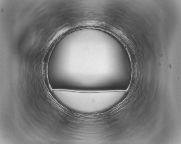 X0000087741404200705070915