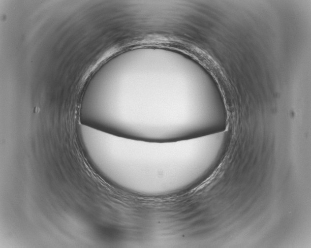 X0000087741409200705070915