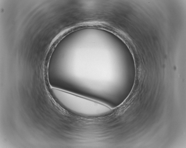 X0000087741412200705070915