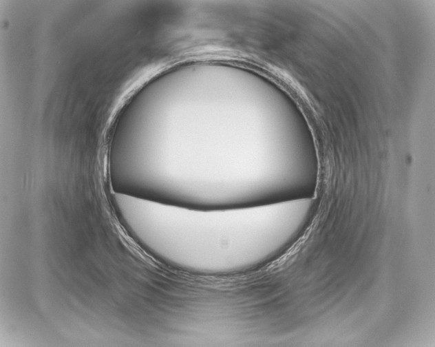 X0000087741413200705070915