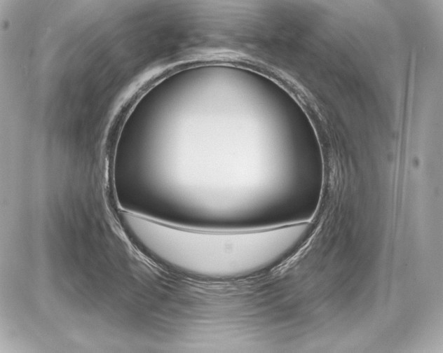 X0000087741414200705070915