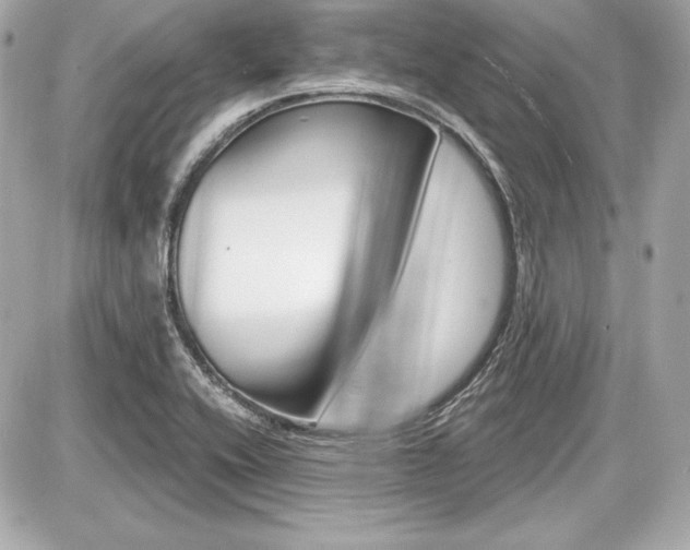 X0000087741416200705070915