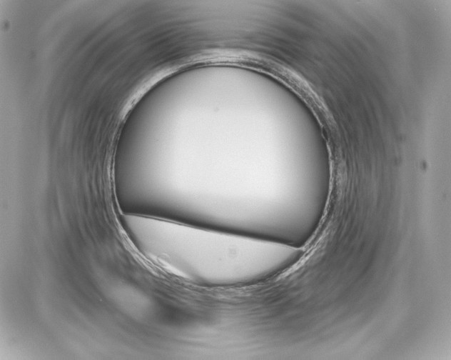 X0000087741417200705070915