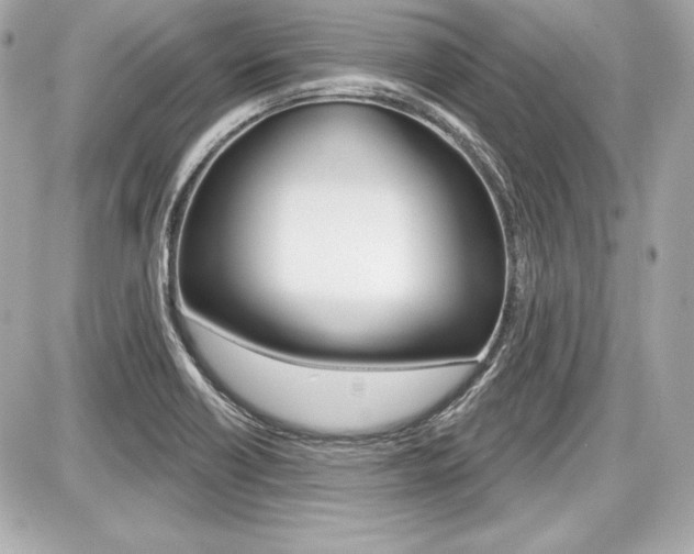 X0000087741418200705070915