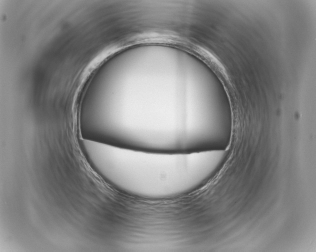 X0000087741419200705070915