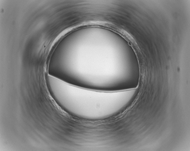 X0000087741420200705070915