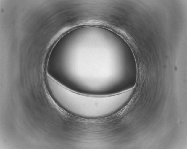 X0000087741422200705070915