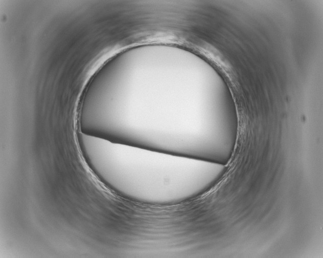 X0000087741423200705070915