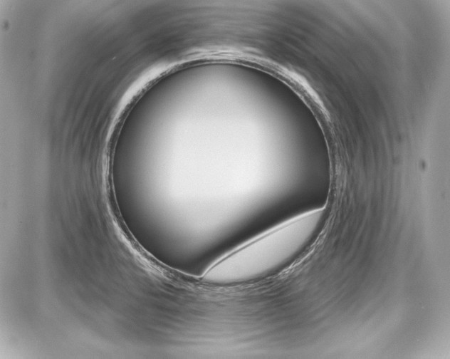 X0000087741424200705070915