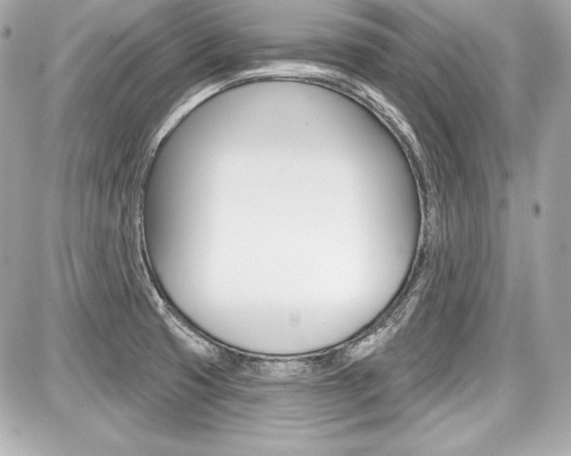 X0000087741425200705070915