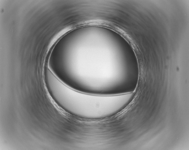 X0000087741426200705070915