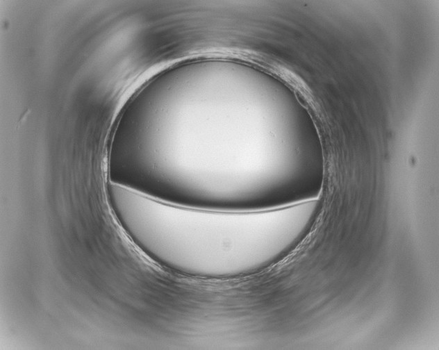 X0000087741428200705070915