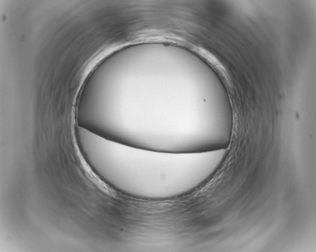 X0000087741431200705070915