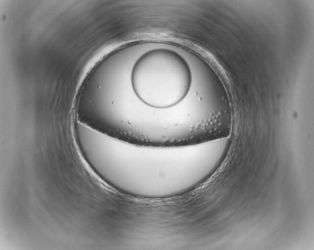X0000087741432200705070915