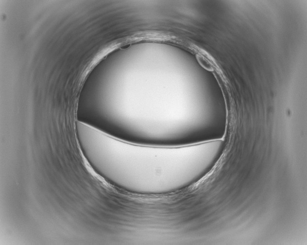 X0000087741433200705070915