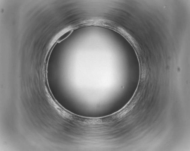 X0000087741434200705070915