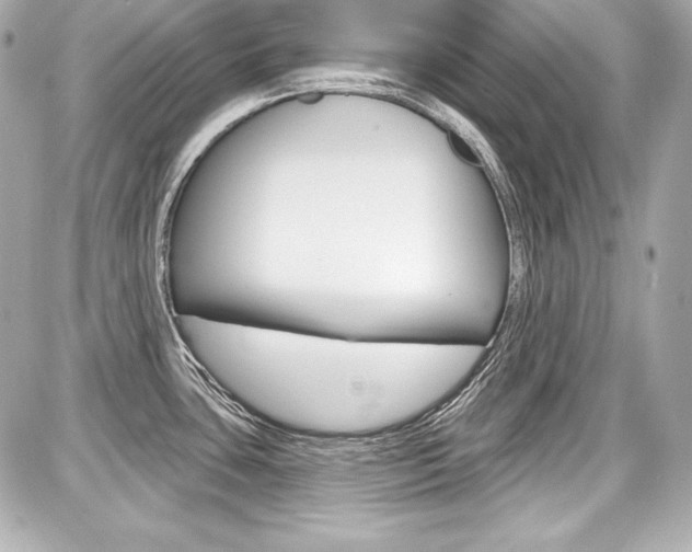 X0000087741435200705070915