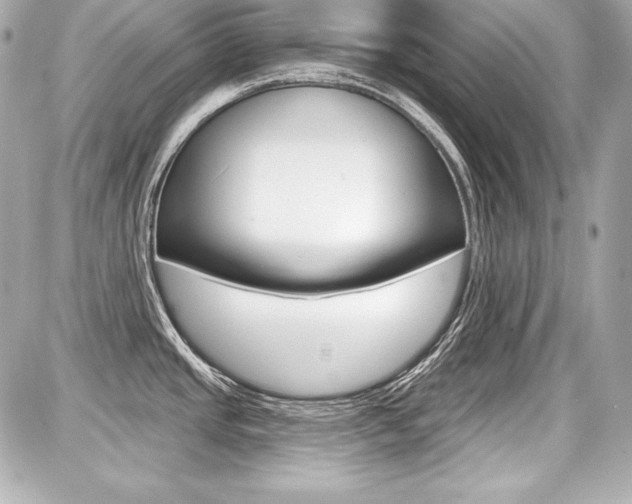 X0000087741437200705070915