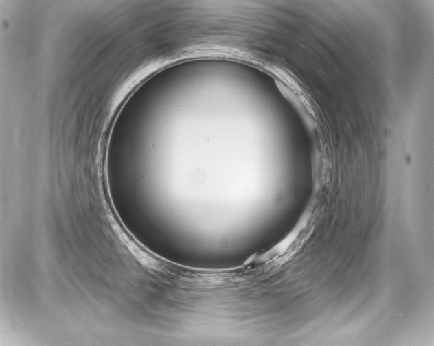 X0000087741438200705070915