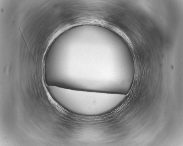 X0000087741439200705070915