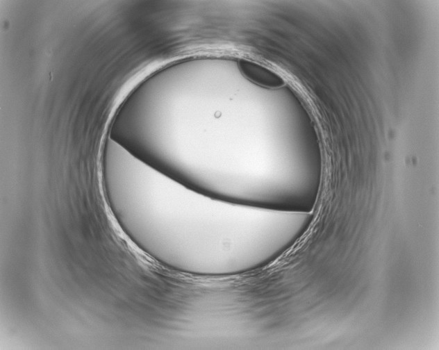 X0000087741440200705070915