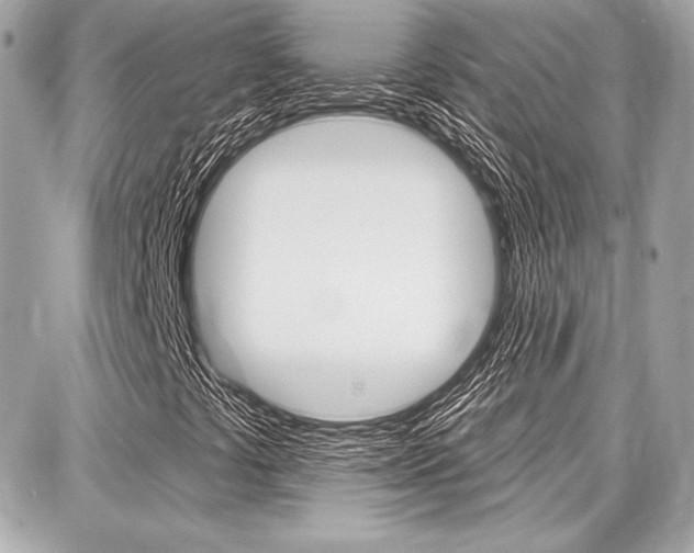 X0000087741441200705070915