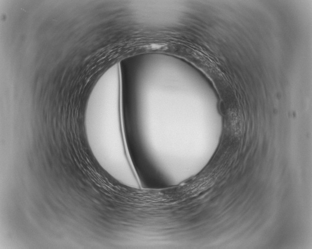 X0000087741442200705070915