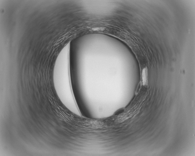 X0000087741443200705070915
