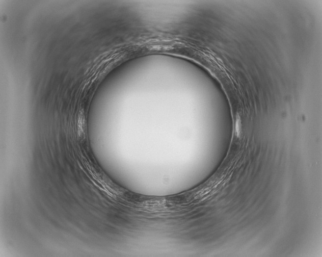 X0000087741444200705070915