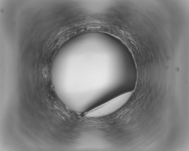 X0000087741445200705070914