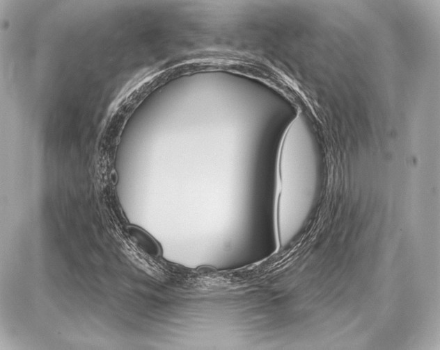 X0000087741448200705070914