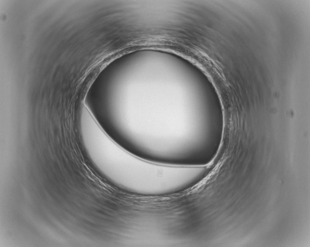 X0000087741449200705070914