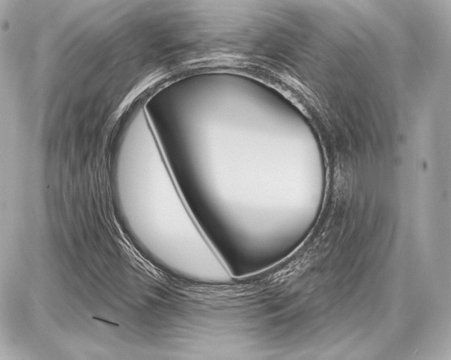 X0000087741450200705070914