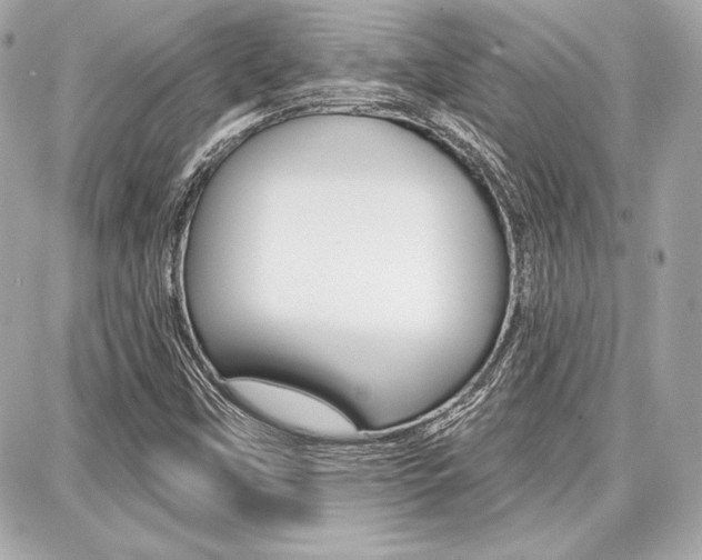 X0000087741451200705070914