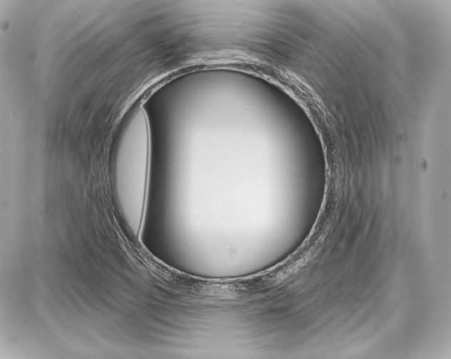 X0000087741457200705070914
